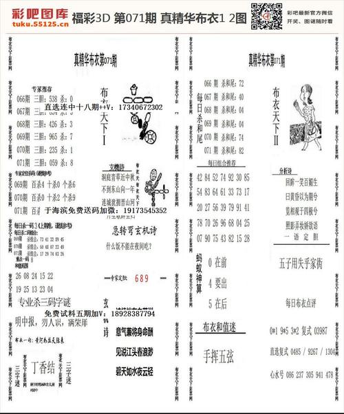 正版独胆王彩吧图库,真实经典策略设计_VR型43.237