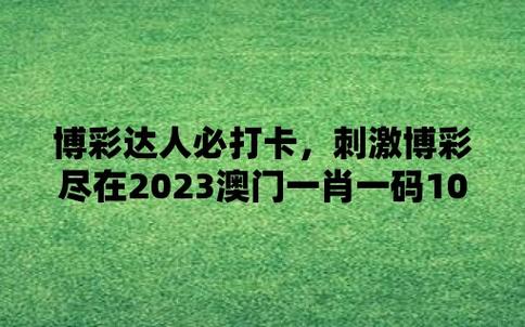 澳门四肖四码资料的查询方式