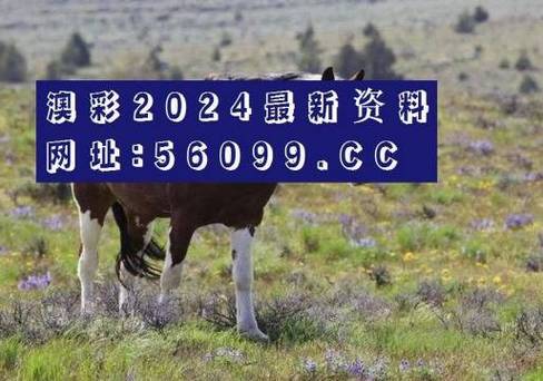 2023今晚澳门开特马免费资料,绝对策略计划研究_社交版40.12.0