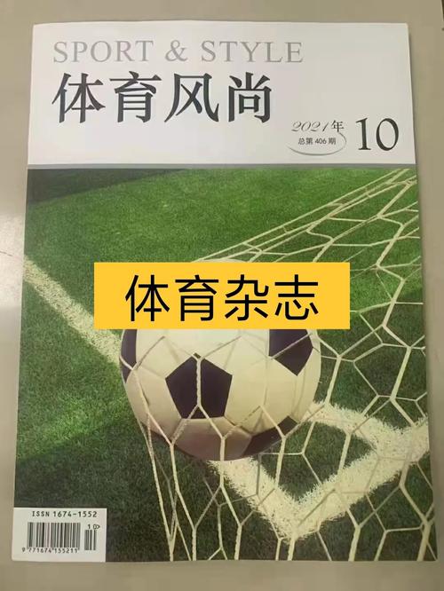 体育类的核心期刊有哪些,设计策略快速解答_VR型43.237