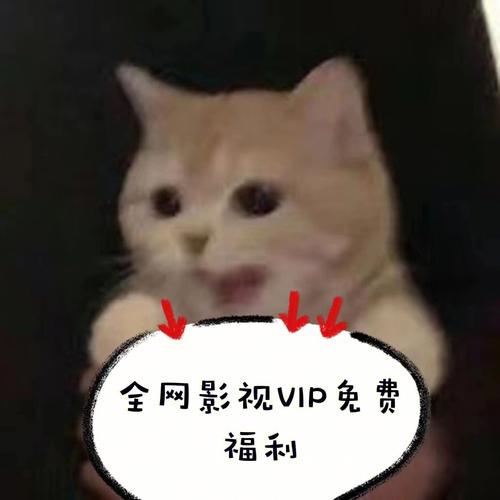 最全免费追剧软件不要vip,真实经典策略设计_VR型43.237