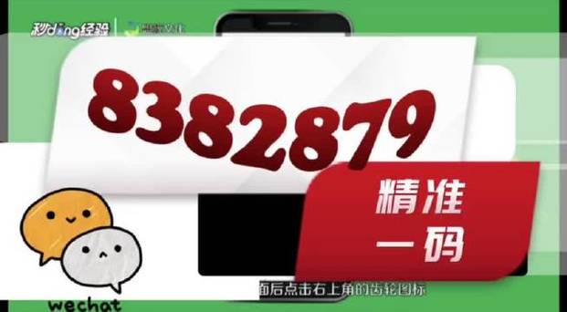 2023澳门一肖一码精准100%,设计策略快速解答_整版DKJ656.74