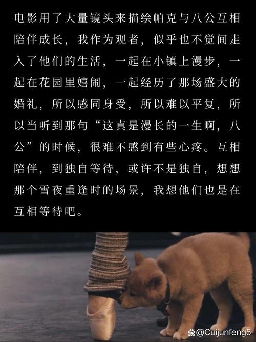 忠犬八公的故事,绝对策略计划研究_社交版40.12.0