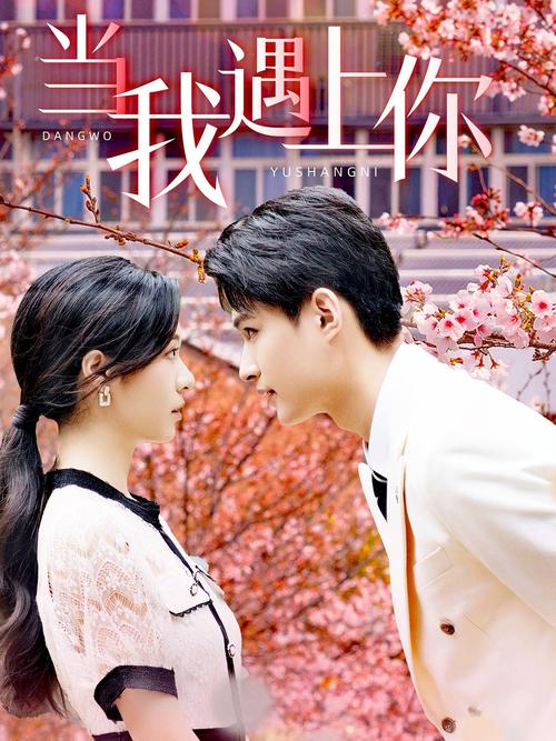 免费高清电视剧在线观看,真实经典策略设计_VR型43.237