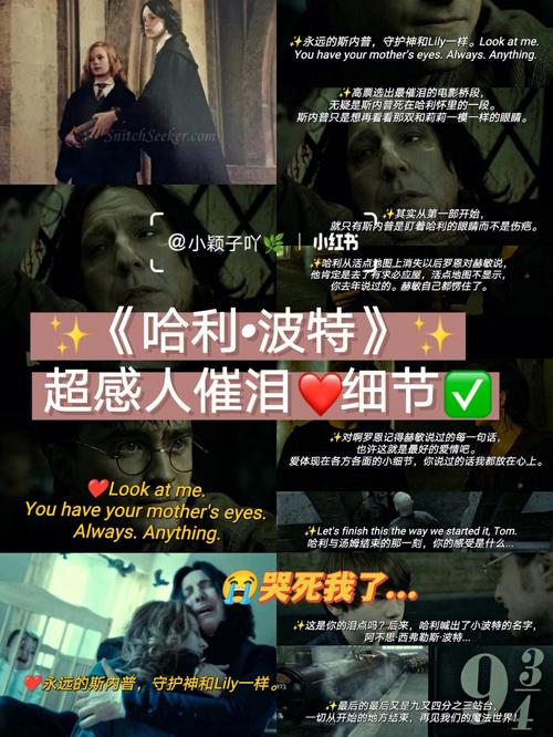 超催泪的电影排行榜,设计策略快速解答_整版DKJ656.74